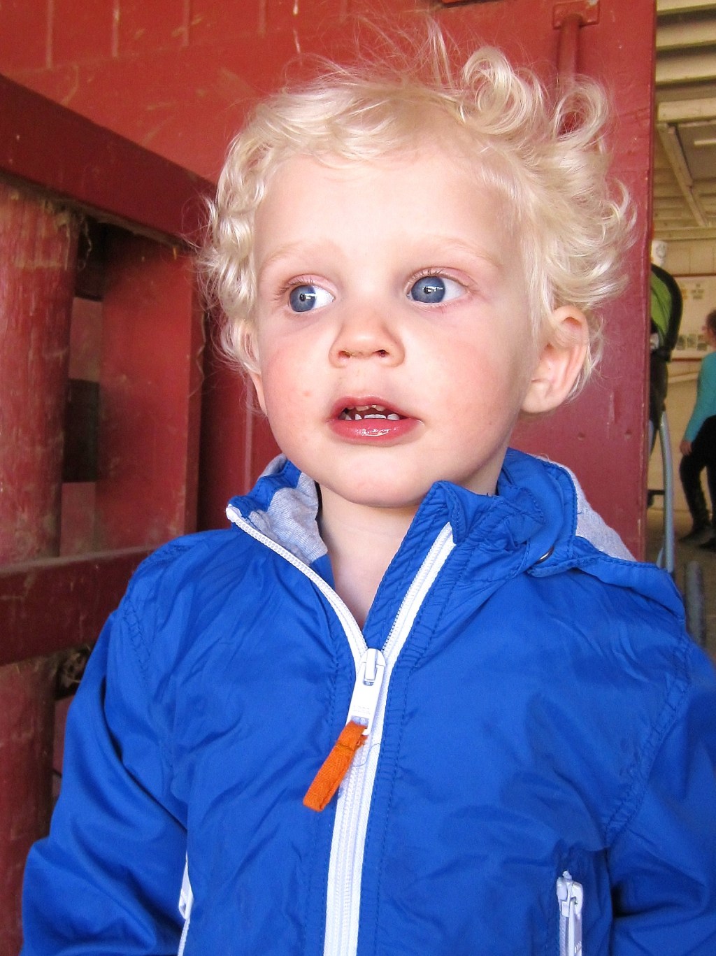 My kid is a genius: Part&nbsp;1